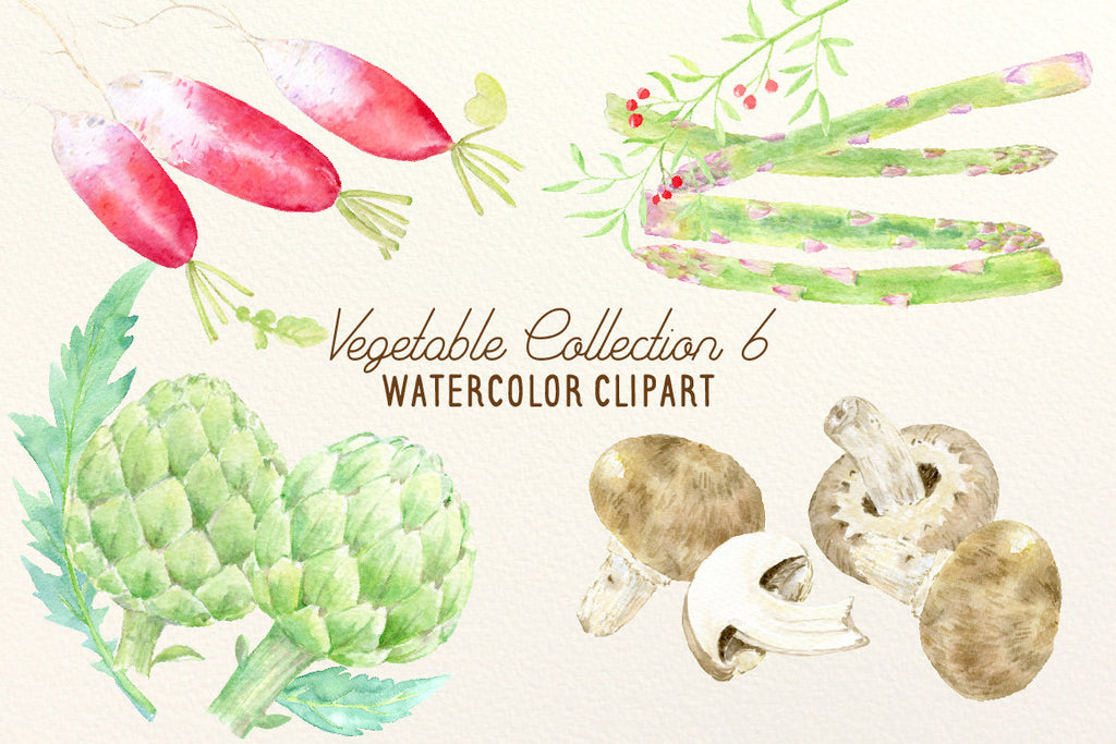 watercolor vegetable clipart watercolor vegetables mushrooms, asparagus, red radish and globe artichokes 