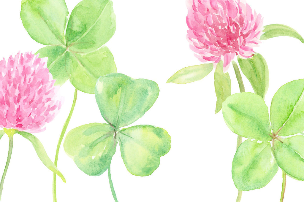 watercolor clipart good luck clover, 4 leaf clover, St Patricks day, 
