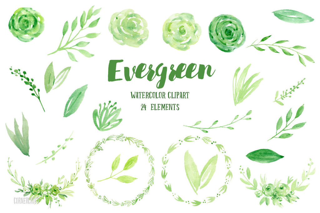 Watercolor clipart  Evergreen, green leaves, green flowers and floral arrangments for instant download