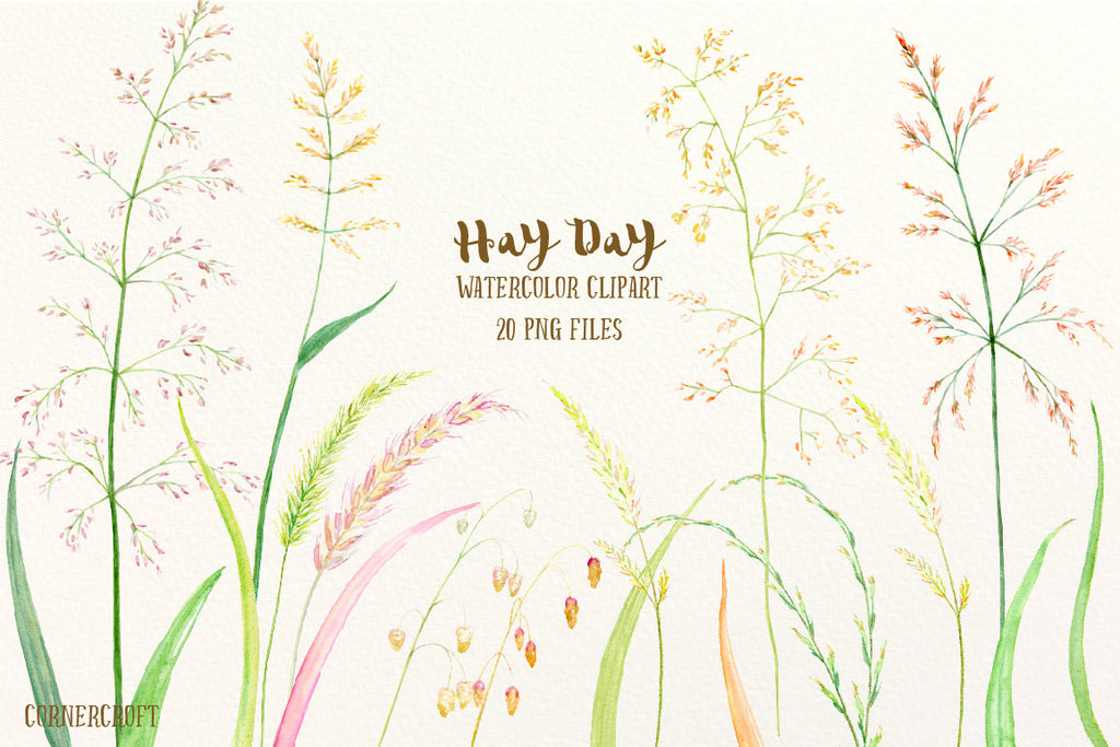 Watercolor clipart Hay Day, grass seed heads, ornamental grass