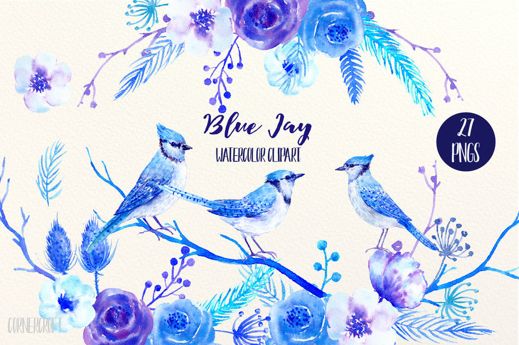 watercolor clipart blue Jay, blue jays, blue roses, blue flowers, winter flowers