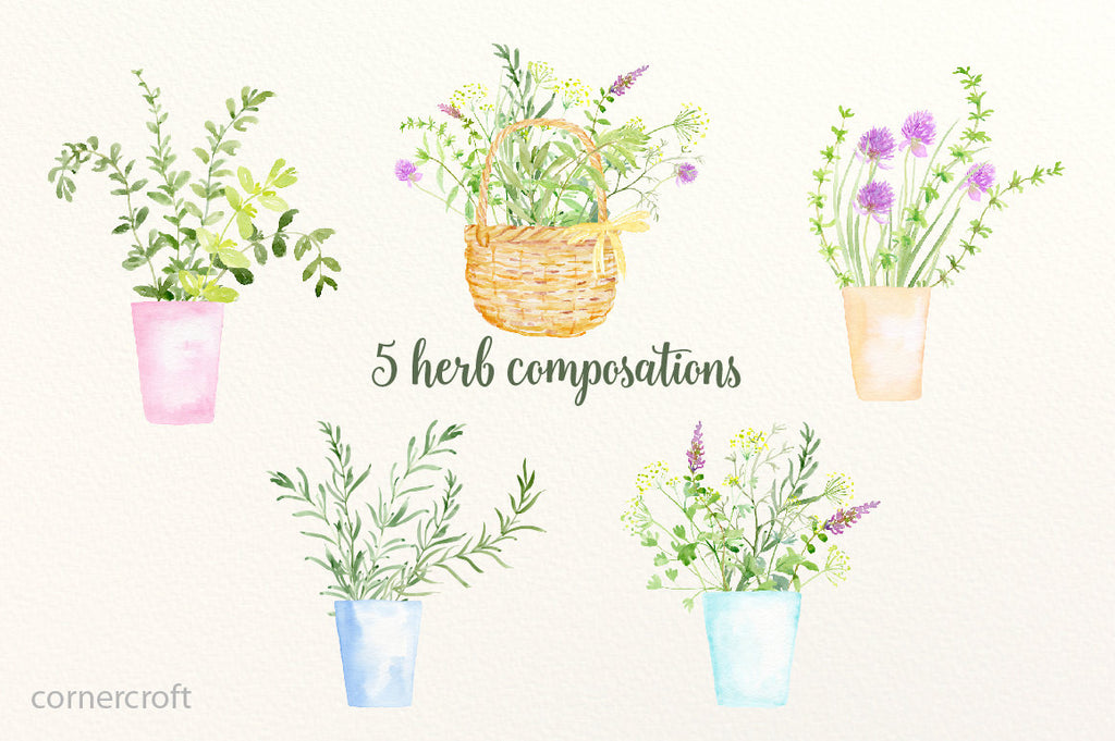 Watercolor herbs including basil, mint, parsley, bay leaves, chives, thyme, sage and rosemary branches, marjoram, oregano, lovage, coriander and tarragons, pots and basket for instant download.