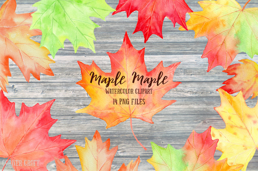 watercolor leaf illustration, instant download, autumn leaf, maple leaf