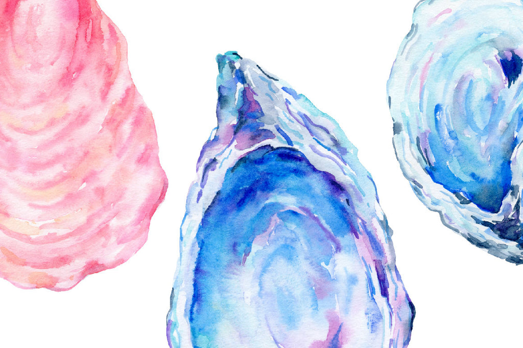 watercolor oyster shell, pink oyster shell, art print, oyster shell print
