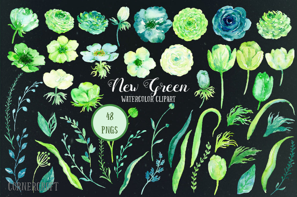 Watercolor Collection New Green, roses, ranunculus, tulips, spring flowers