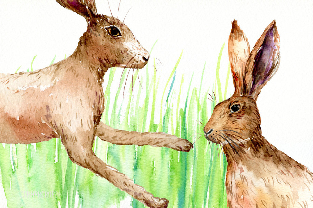 Hare Clip Art, Watercolor Clipart Brown Hares, brown hare, running, fighting, rabbit clip art