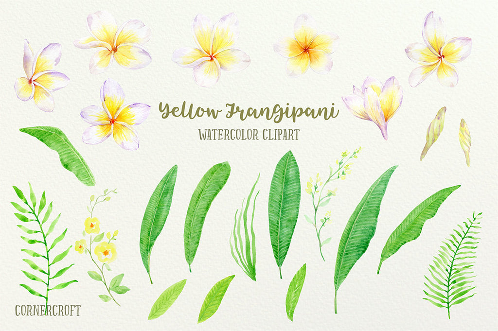 Frangipani Clip Art, Watercolor yellow frangipani, green foliage, botanical frangipani for instant download