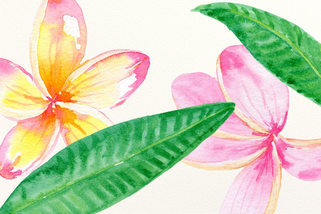 Frangipani Clip Art, Watercolor pink frangipani, green foliage, floral arranagments for instant download