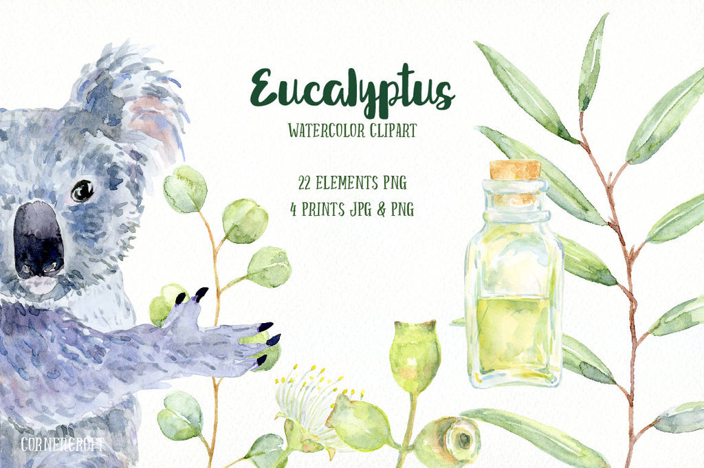 Hand painted eucalyptus watercolor leaves, flowers, oil bottles, koala and decorative leaves for instant download