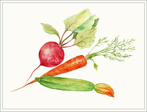 watercolor clipart of veg, carrot, garden peas, courgette and beet root, instant download 