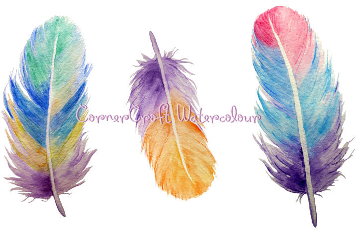 watercolor feather illustration, detailed feather, clipart