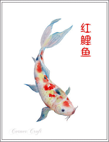 Watercolor illustration of fish, fish clipart, carp 