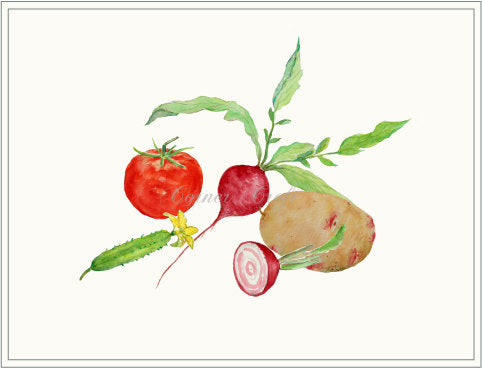 watercolor tomato, radish, potato and cumber illustration, instant download 