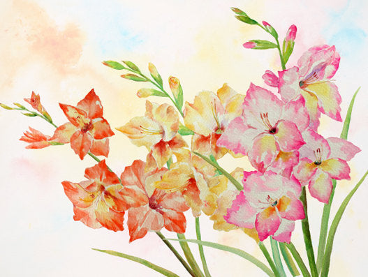  Hand painted large watercolor flowers gladiolus white, yellow, pink, purple and orange