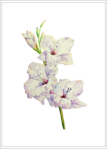 large flower clipart, watercolour gladiolus 