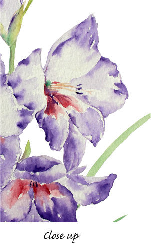 gladiolus clipart, pink, yellow, white, purple flowers