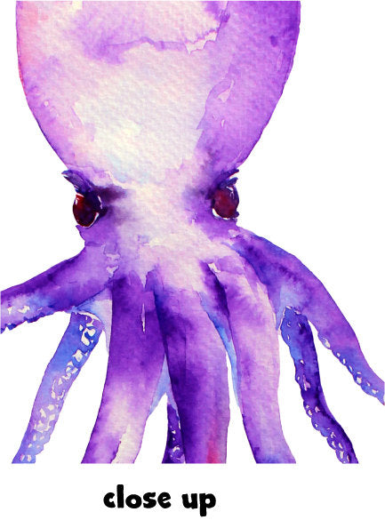 watercolor octopus illustration, beach and sea clipart