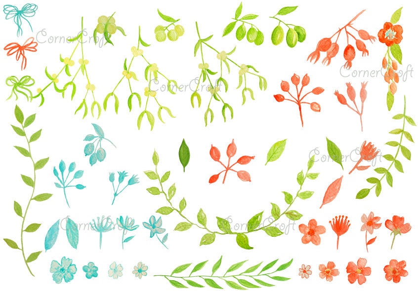Watercolor mistletoe, olive, blue and orange flowers and berries instant download 