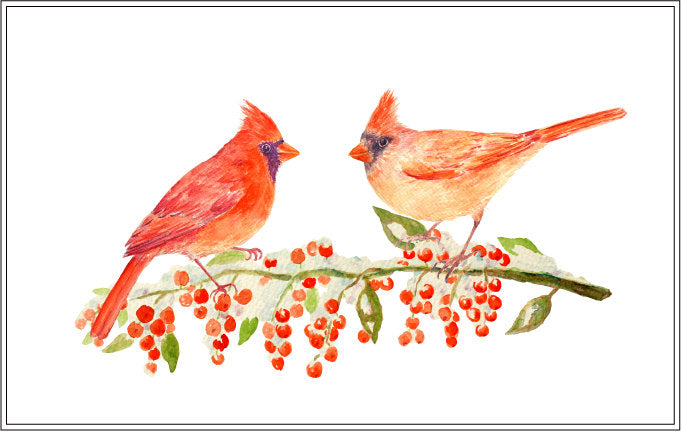 watercolor clipart red cardinals and berries illustration, Christmas clipart instant download 