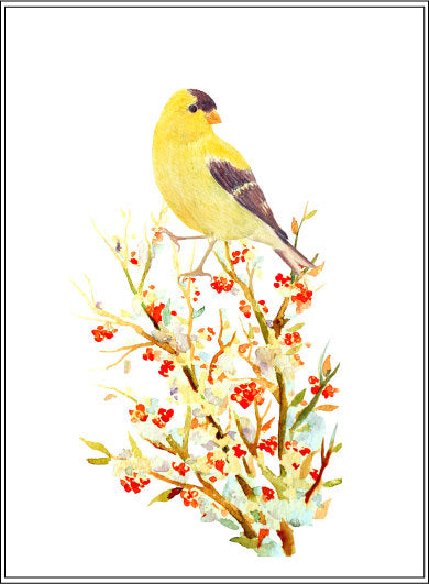 watercolor goldfinch clipart berries in snow, wildlife illustration 