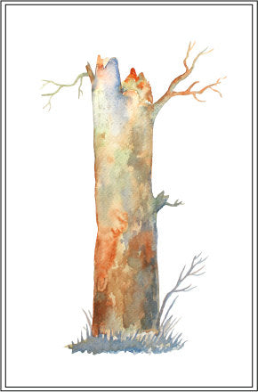 Watercolor clipart, Life cycle of Oak tree, oak seedling, sapling, mature tree, acorns, leaf instant download