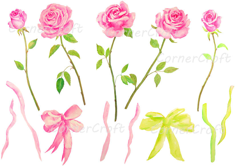 watercolor pink rose, tea rose, cut flower, rose clipart
