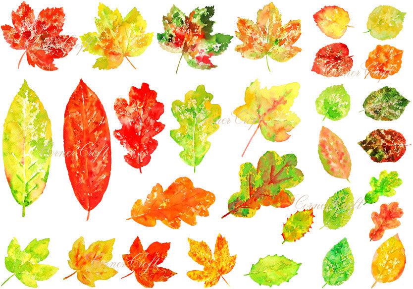 watercolour leaf clipart, stamp effect leaf, green leaf, gold leaf, red leaf.