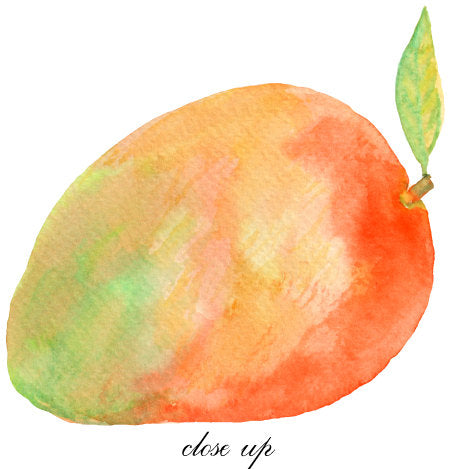watercolor clipart, fruit, tropical fruit, apples, peaches, mango, pineapple, melons, lemons