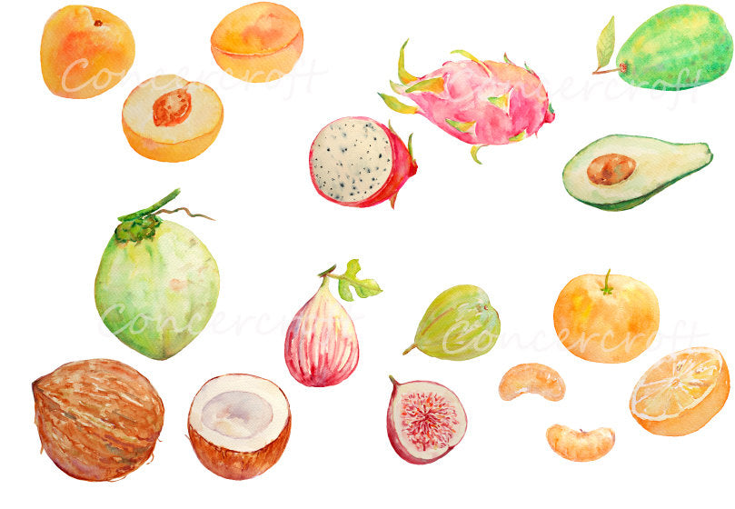 watercolor clipart of fruit, dragon fruit, topical fruit, fig, coconut , apricot, fig, orange 