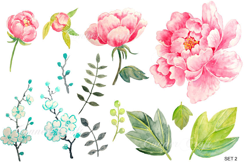 watercolor pink peony, peonies clipart, watercolor peony illustration 
