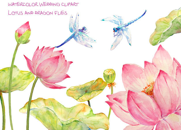 watercolor pink lotus flower and dragon fly, wedding flowers, wedding clipart