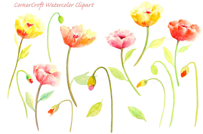 watercolor yellow poppy, orange poppy and red poppy for instant download 