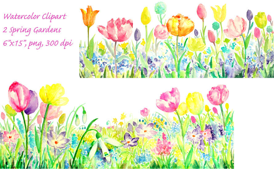 watercolor spring flower, long border, tulip, spring flowers illustration 