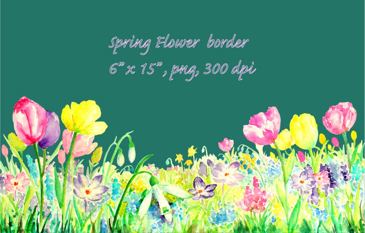 watercolor spring flower, long border, tulip, spring flowers illustration 