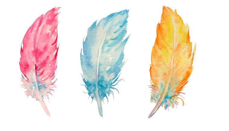 watercolor feather illustration, instant download of feathers