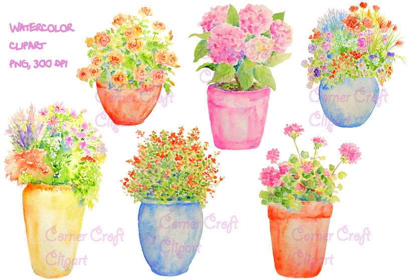 watercolor clipart flowers in pot, pot plant, rose, hydrangea, geranium, bedding plant 