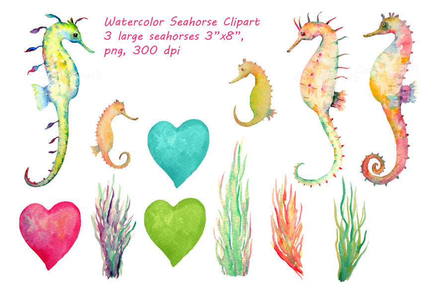 watercolor seahorse clipart, seahorse illustration, seahorse family
