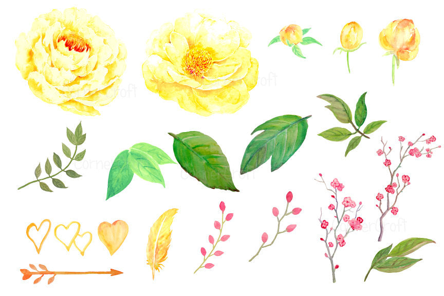 watercolor yellow peony, wedding flower, printable 