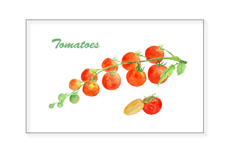 watercolor truss of tomato, watercolour red tomato, tomato illustration, instant download 