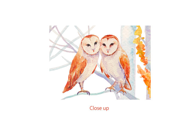 watercolor barn owls, wedding birds, birch wood illustration 