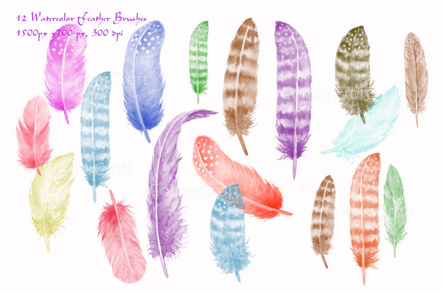 Photoshop Brush ABR of watercolor feathers, instant download 
