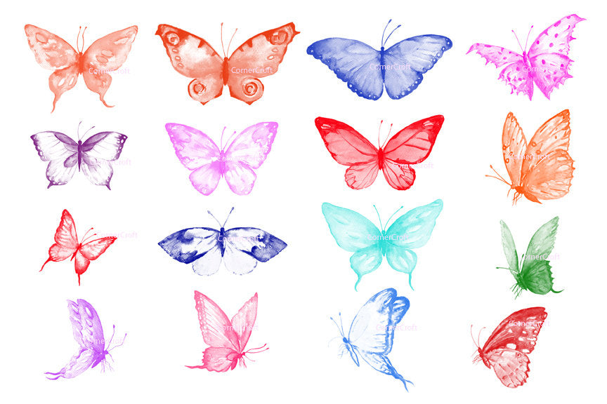 photoshop brush, butterfly, watercolor butterfly, installable items, digital download, insect illustration 