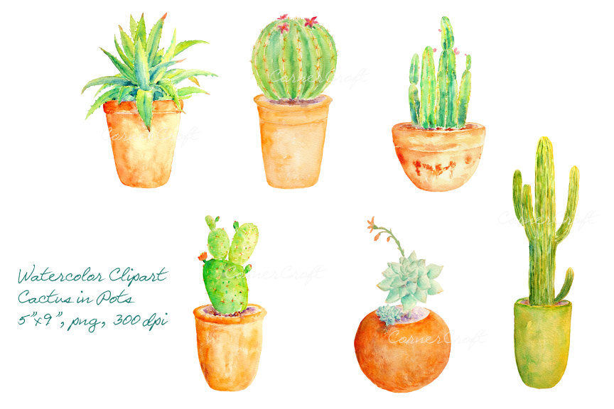 watercolor cactus in terracotta pots, cactus illustration 