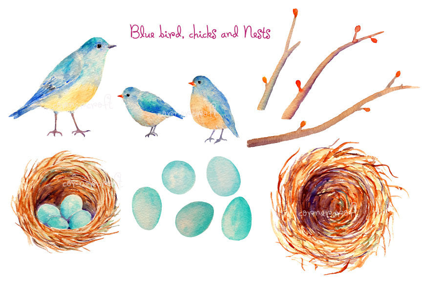 Hand painted watercolor birds - blue bird, chicks, bird nest with eggs, empty bird nest, eggs and tree branches for instant download