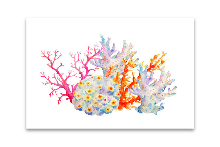watercolor coral illustration, pink, orange and purple coral