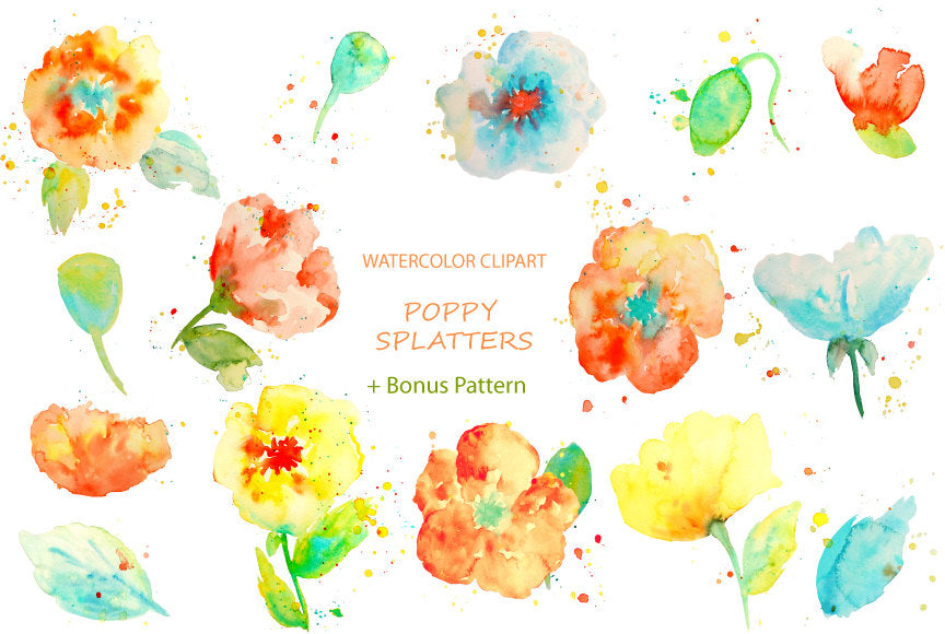 watercolor poppy clipart with paint effect 