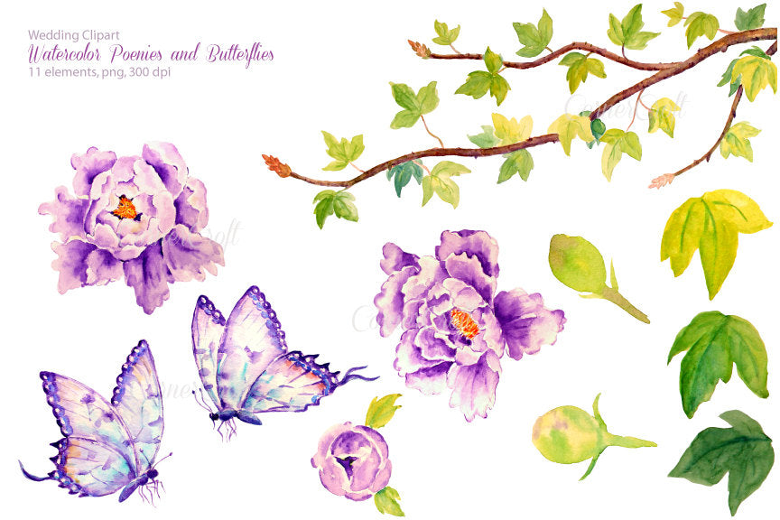 watercolor wedding clipart, purple peony clipart, peony illustration 