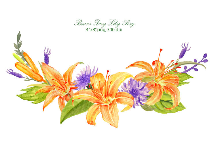 watercolor edible flower, watercolor day lily, roses, corn flowers,lavenders and leaves
