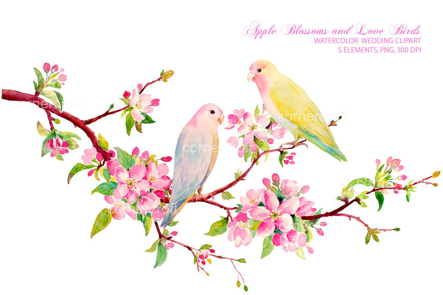 watercolor clipart pink apple blossom and love birds