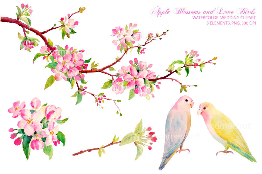 apple flower branch, blue love bird, yellow love bird, wedding illustration 